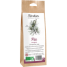 Bourgeons de pin bio