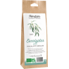 Feuilles d'eucalyptus bio