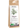 Feuilles d'olivier bio
