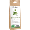 Feuilles d'ortie piquante bio