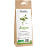 Feuilles de bouleau bio