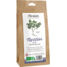 Feuilles de myrtillier bio