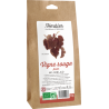 Feuilles de vigne rouge bio