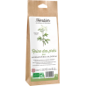 Fleurs de reine des prés bio