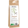Graines de fenouil pour tisanes bio
