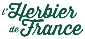 Herbier de France Infusion Plantes Médicinales Bio