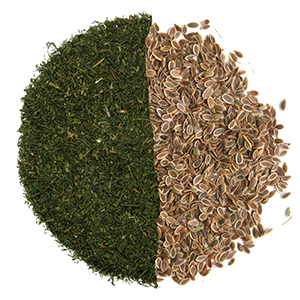 aneth graines feuilles