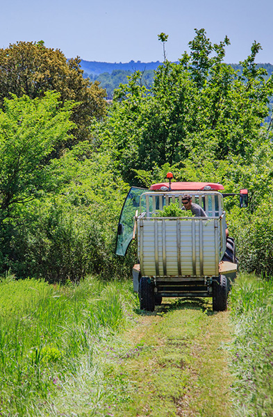 Agriculture Mecanisee France