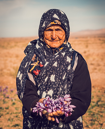 Figues séchées bio de Kurdistan Iran - safran bien-être