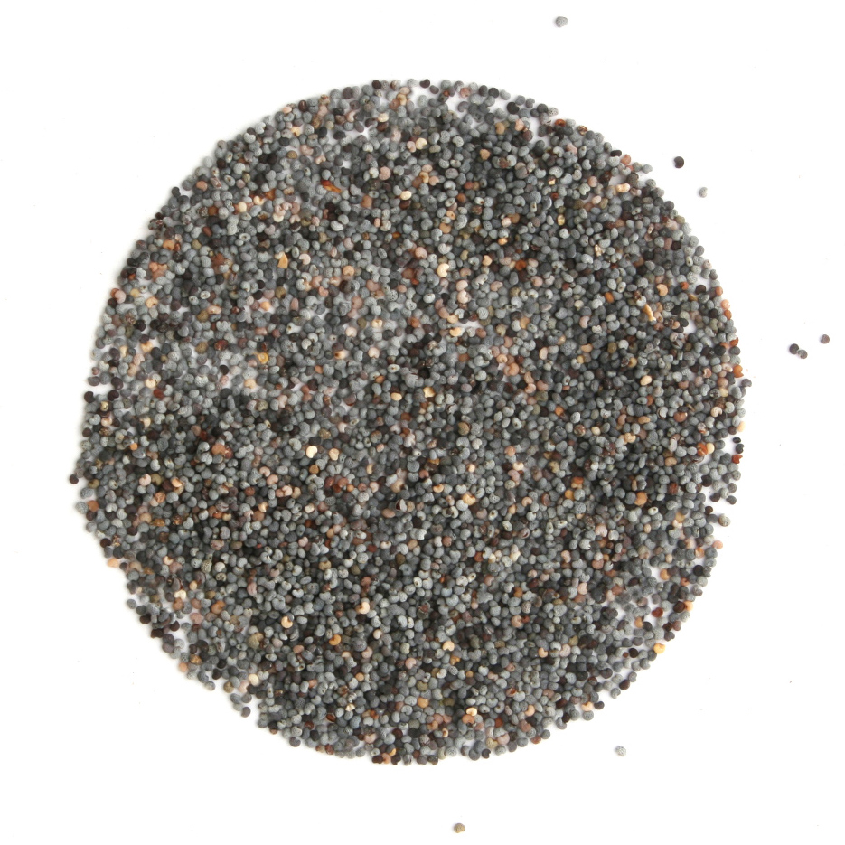 Arcadie pavot graines bio