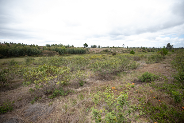 Domaine de Moramanga Madagascar Phael Flor Arcadie Cook