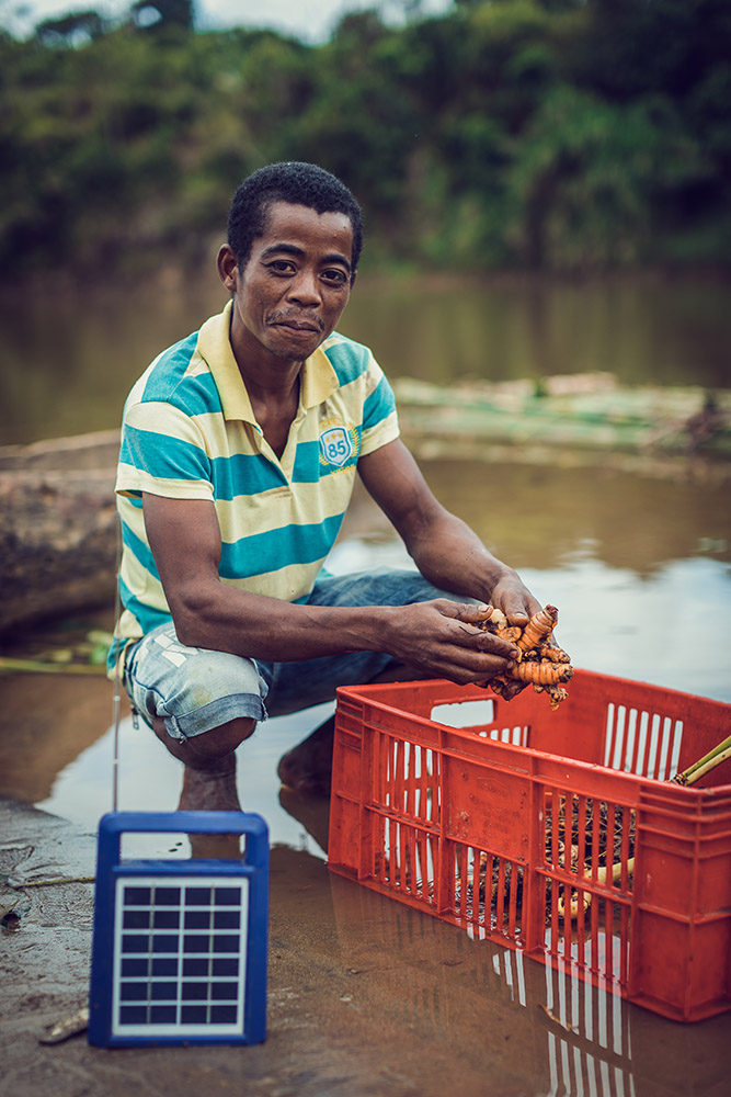 Curcuma Madagascar Producteur Radio Solaire