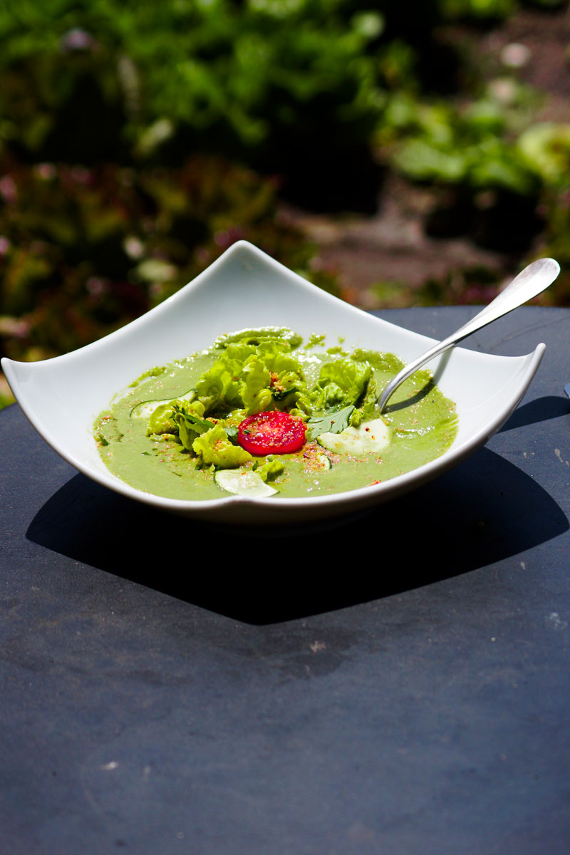 SOUPE-DE-LAITUE-COURGETTES--ET-PERSIL-AUX-AMANDES