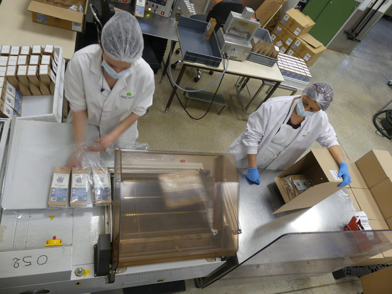 Mise en carton des sachets de romarin l'Herbier