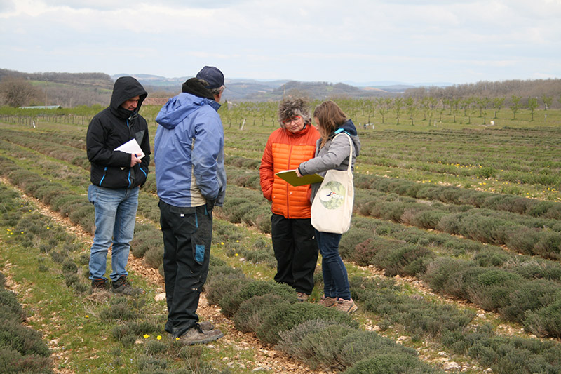 Salariés_Arcadie_sur_le_terrain_producteur_Tarn