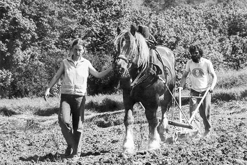 Dominique Bernard Kimmel Au Champ, pionniers de l'agriculture et des marques BIO