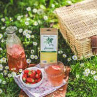 Infusion sureau et fraises