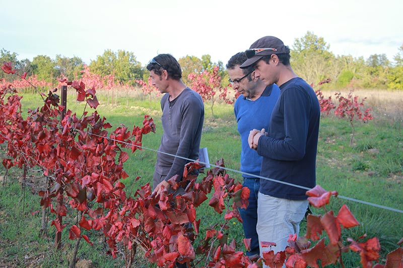 Stephan, Yoachim et Jean Marot conseiller en biodynamie