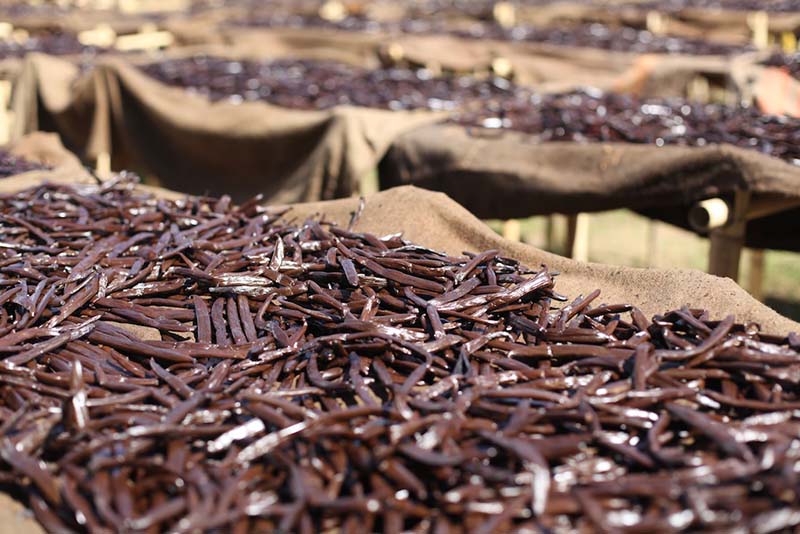 Arôme Naturel de Vanille, l'arôme alimentaire de Vanille pour la Cuisine