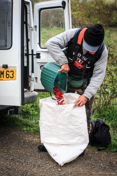 Medhi met le cynorrhodon dans un sac pour l'apporter chez lui