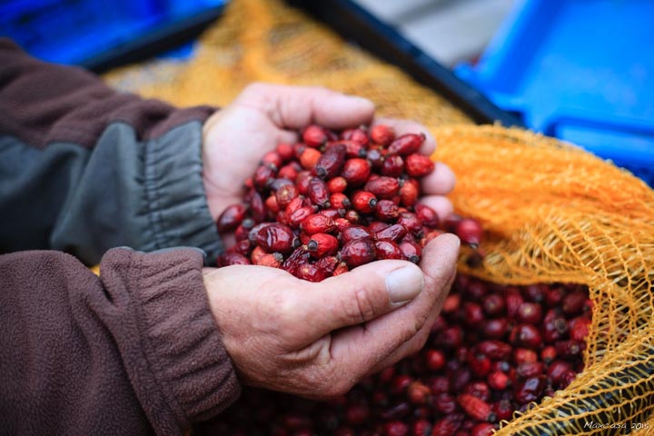 Les fruits après séchage