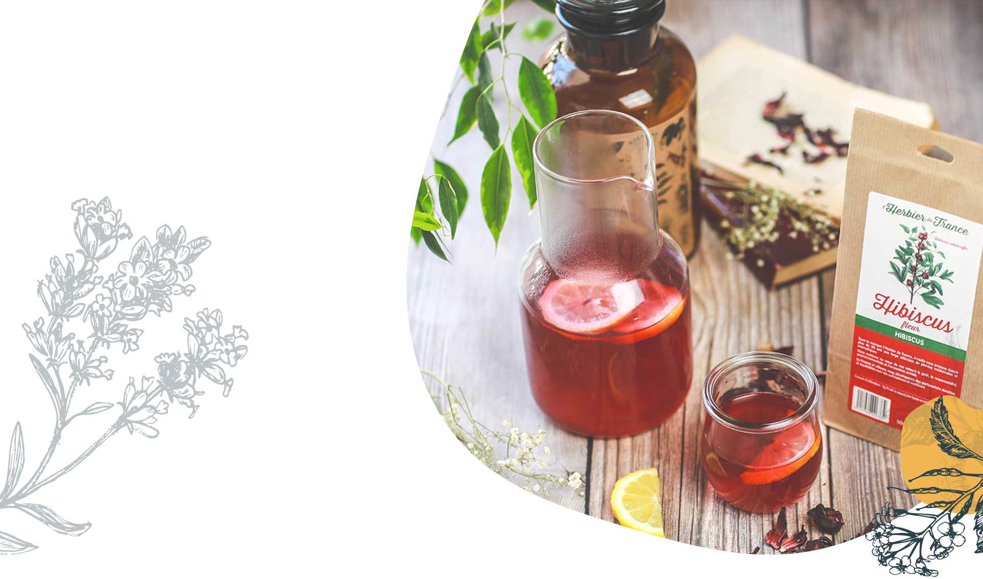 Tisane Detox mélange de plantes Hibiscus, Menthe poivrée et Pissenlit