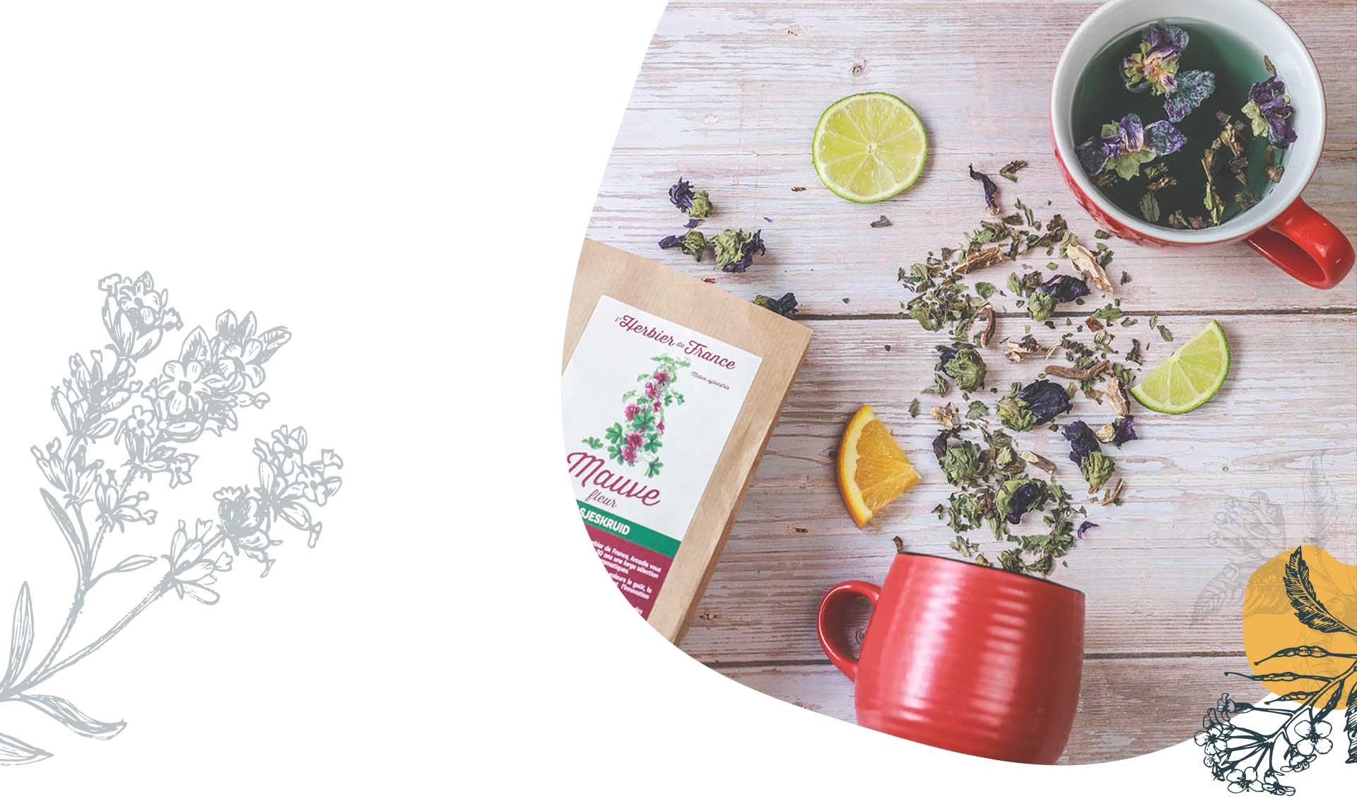 Tisane Detox mélange de plantes Hibiscus, Menthe poivrée et Pissenlit