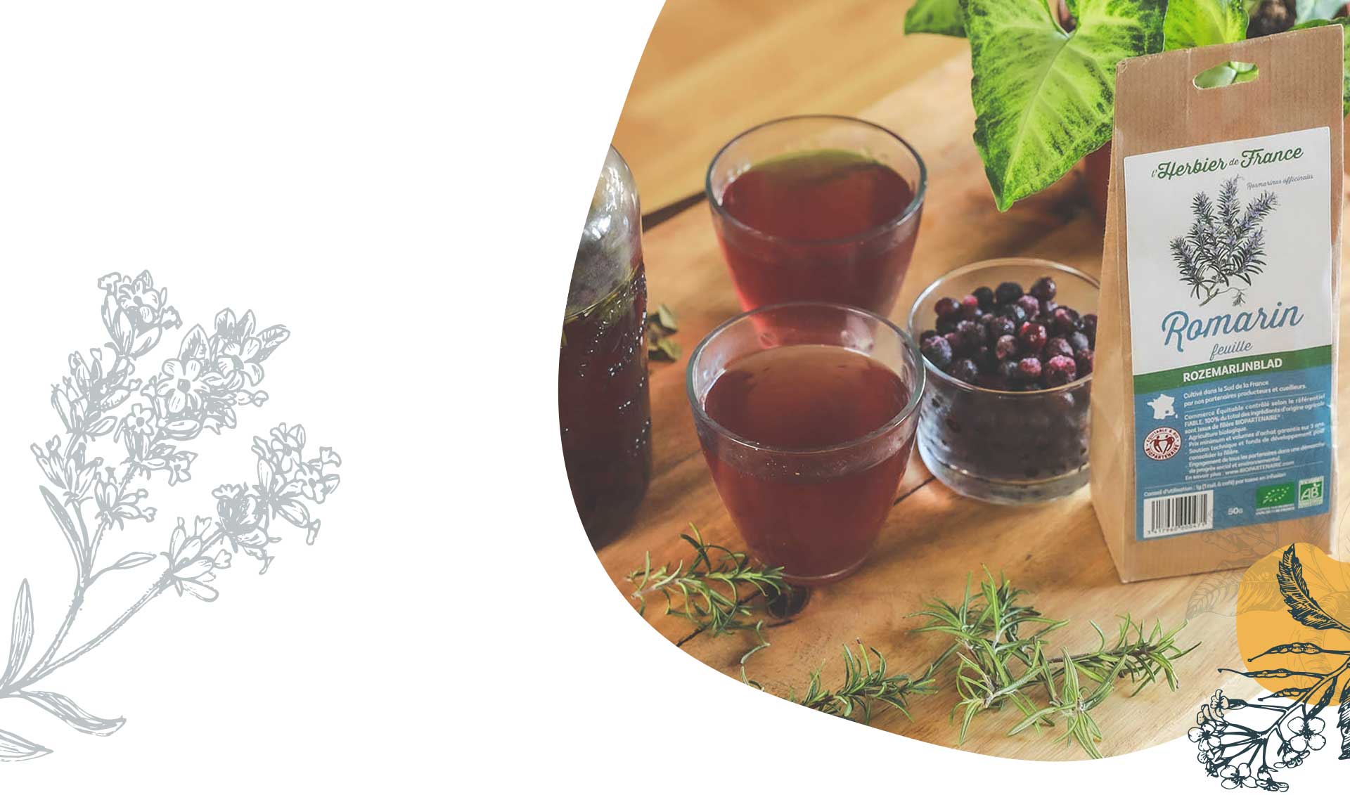 Recette de tisane froide maison romarin et myrtille