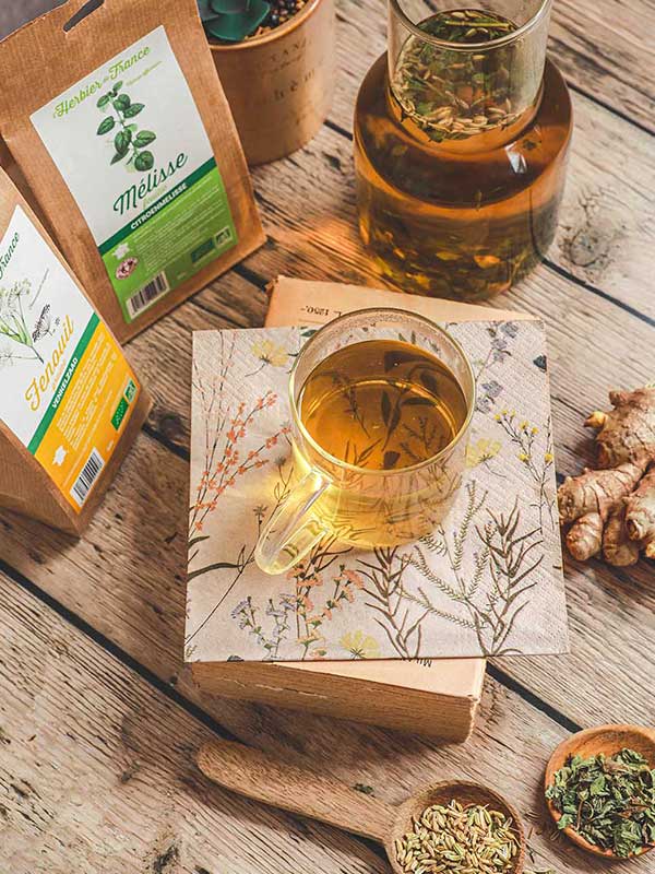 Tisane anti-nausées au gingembre, fenouil et mélisse