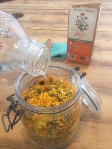 Extrait de plante : comment le réaliser simplement