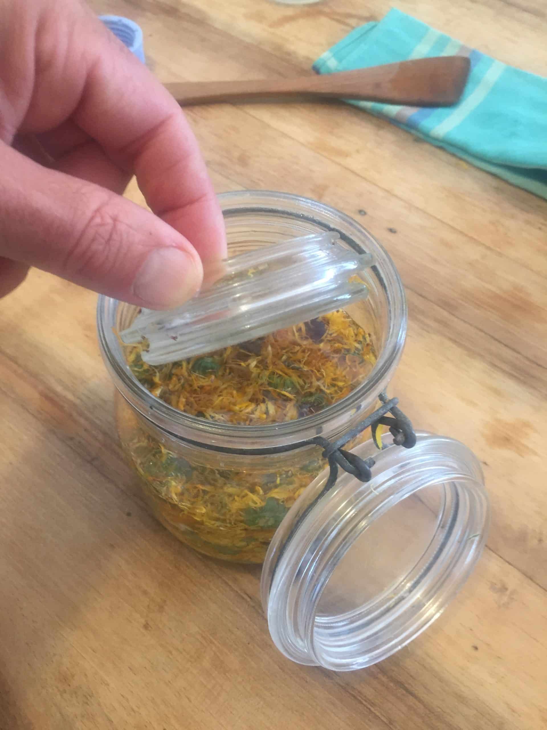 Extrait de plante : comment le réaliser simplement