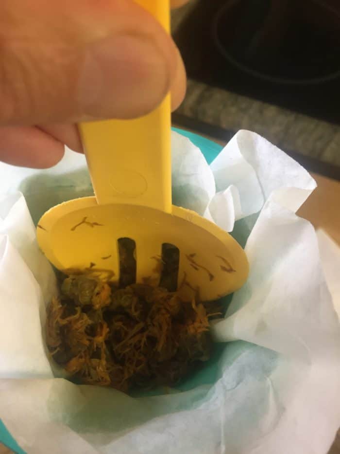 Extrait de plante : comment le réaliser simplement