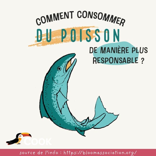 comment consommer du poisson de manière plus responsable ?