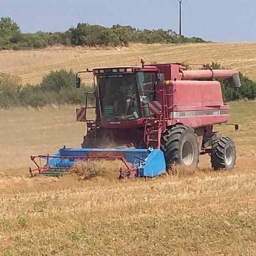 tracteur récolte champs de coriandre