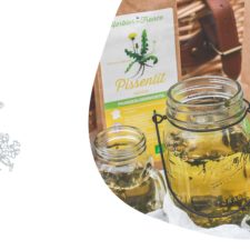 Tisane remineralisante à l'ortie, fenouil et pissenlit