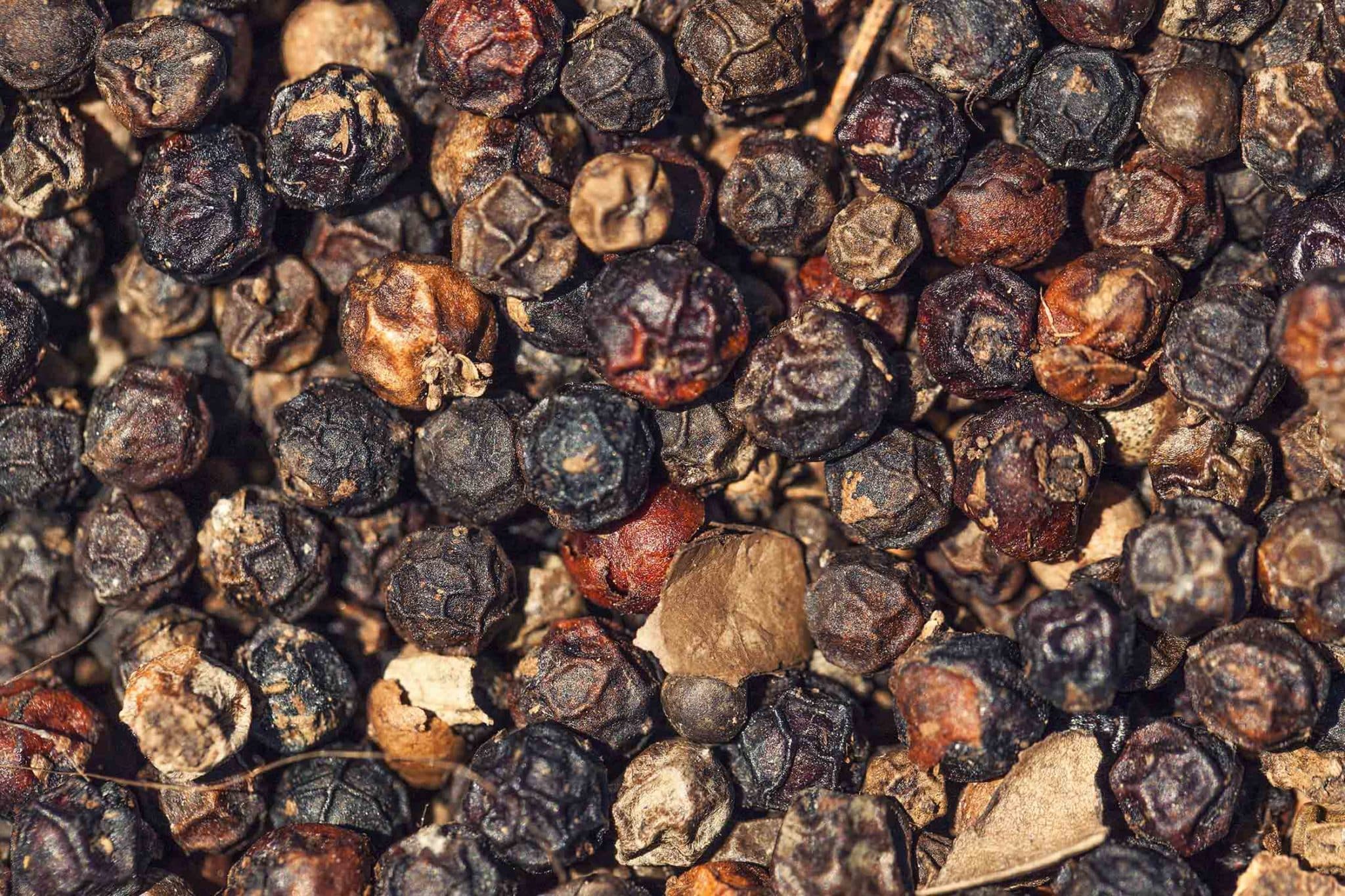 Quels poivres utiliser en cuisine et comment les utiliser