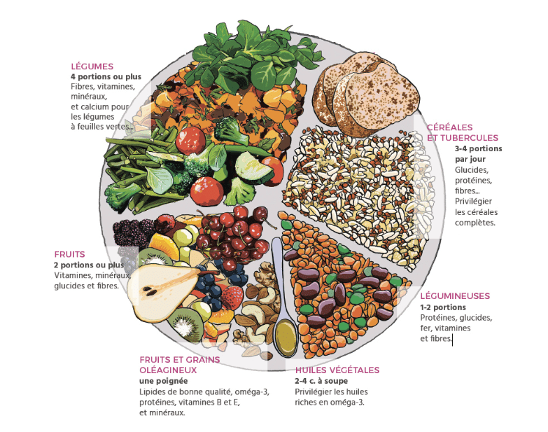 Les indispensables dans une cuisine végétale