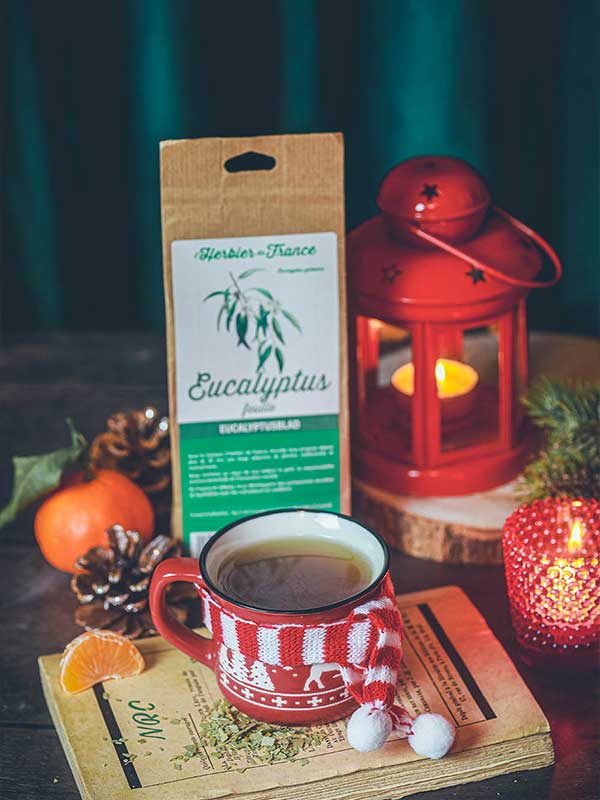 Tisane eucalyptus