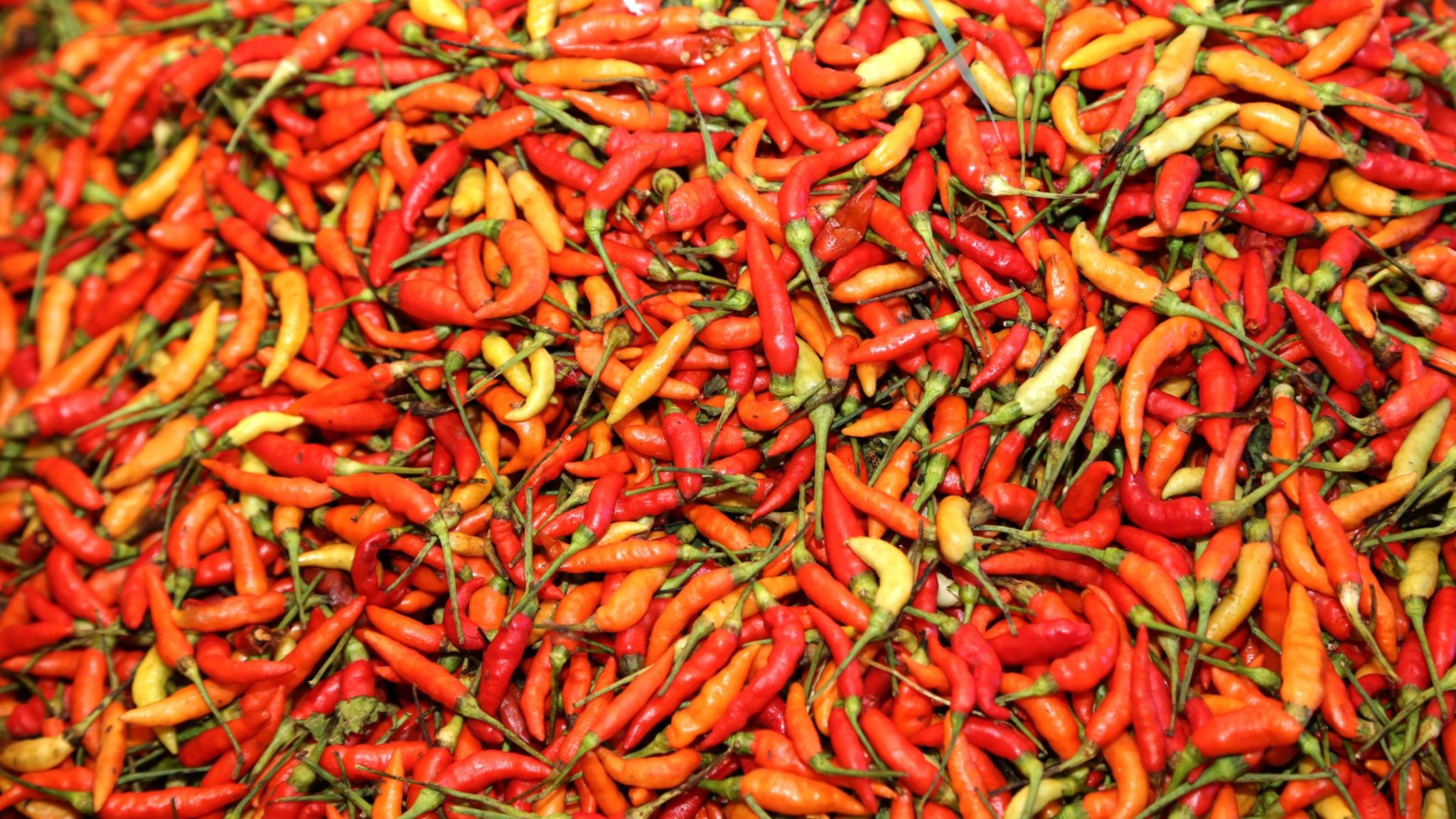 piments frais
