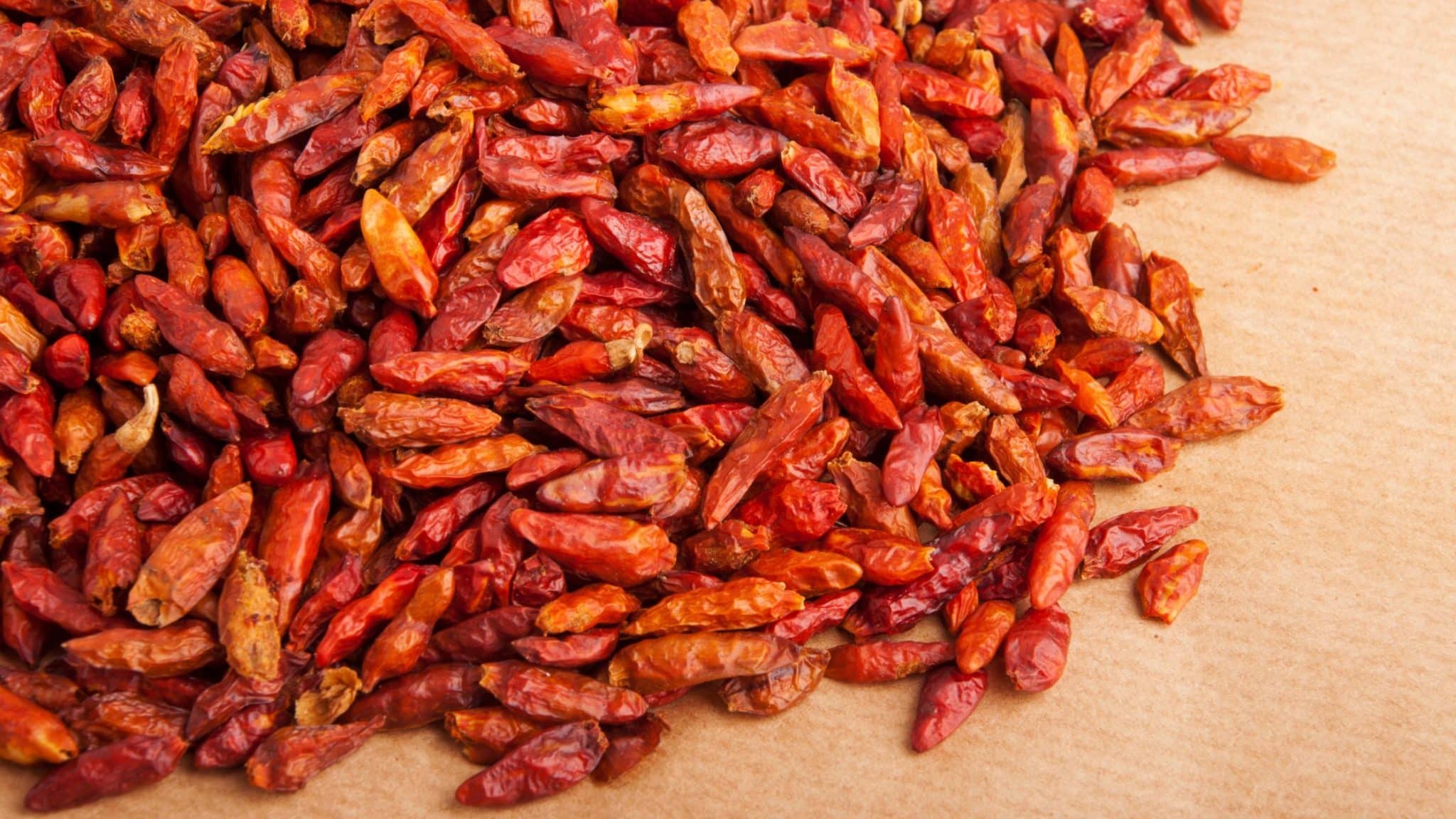 piment oiseau