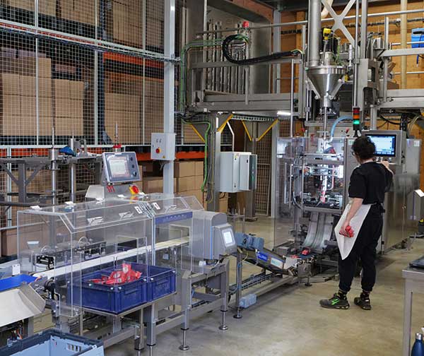 LigneEnsacheuseCook2025